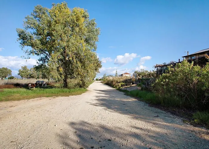 Dolphin 4 Apartmán *