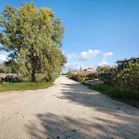 Dolphin 4 Διαμέρισμα *