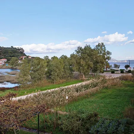 Dolphin 4 * Κερί